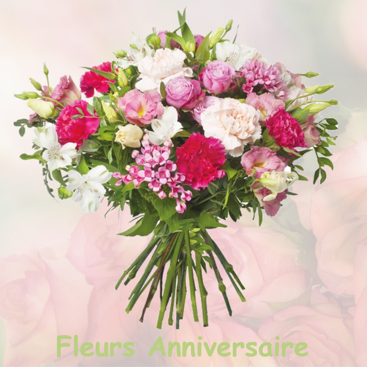 fleurs anniversaire VAUVENARGUES