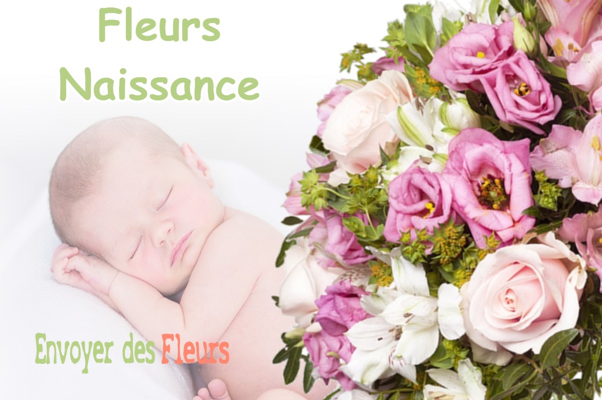 lIVRAISON FLEURS NAISSANCE à VAUVENARGUES